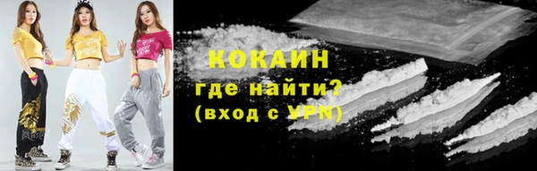 стафф Галич