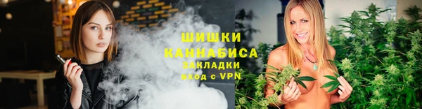ешки Ельня