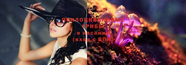 ешки Ельня