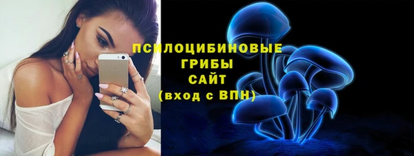 ешки Ельня