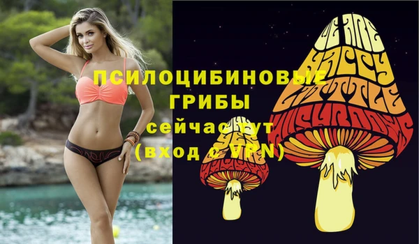 стафф Галич