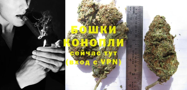 ешки Ельня