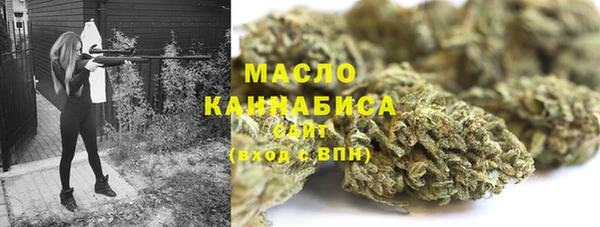 ешки Ельня