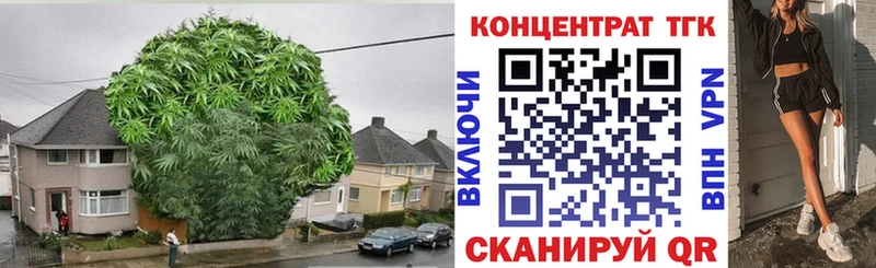 OMG зеркало  наркотики  Емва  Дистиллят ТГК концентрат 
